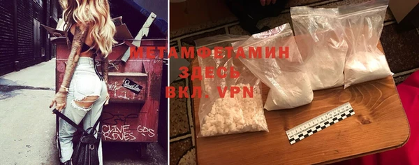 прущие грибы Мегион
