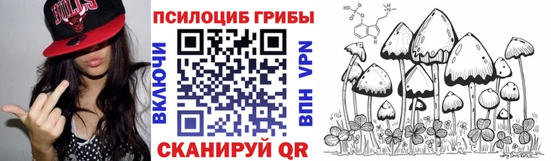 Галлюциногенные грибы прущие грибы  как найти закладки  Торжок 